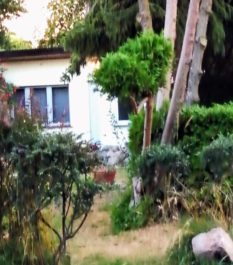 Auszeit Appartement *